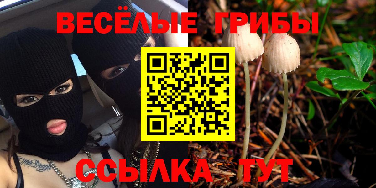 Оренбург  купить закладку  Вход с VPN  Галлюциногенные грибы GOLDEN TEACHER 
